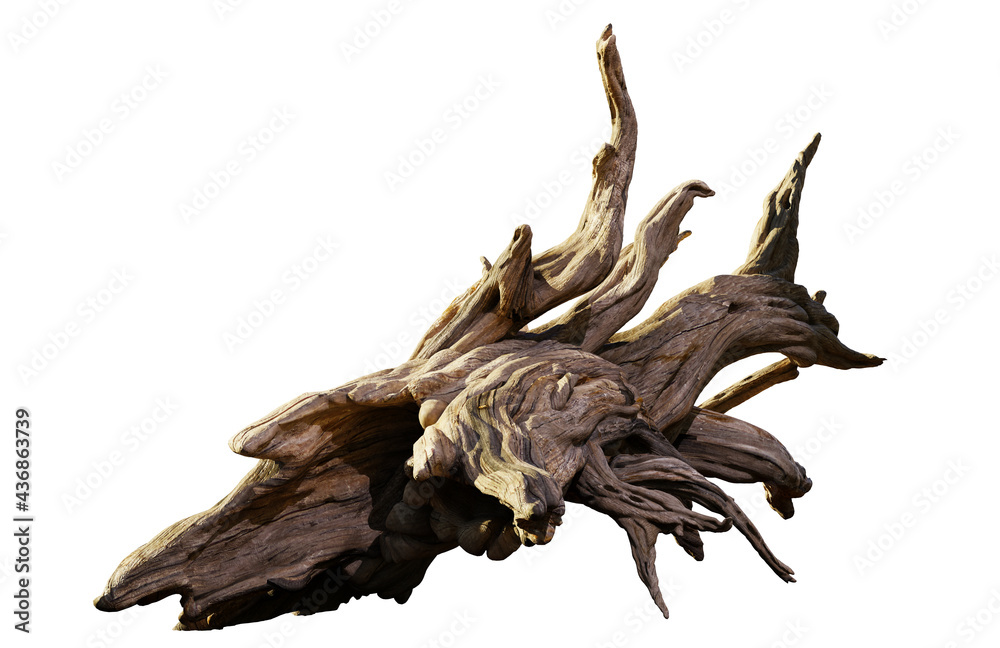 driftwood, pile of aged wood isolated on white background driftwood, pile of aged wood isolated on white background