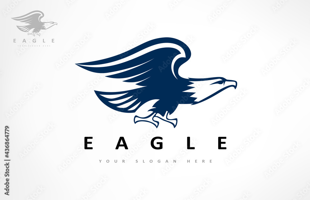 Obraz premium Eagle logo bird vector. Animal design.