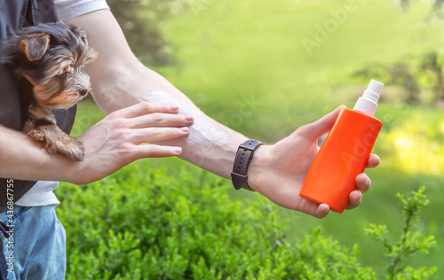 Solar (sun) protection. Hand of man applying sun cream (sunscreen) from a plastic container (bottle) on arm to protect skin from UV sunlight during walking in the park with dog. Summer.
