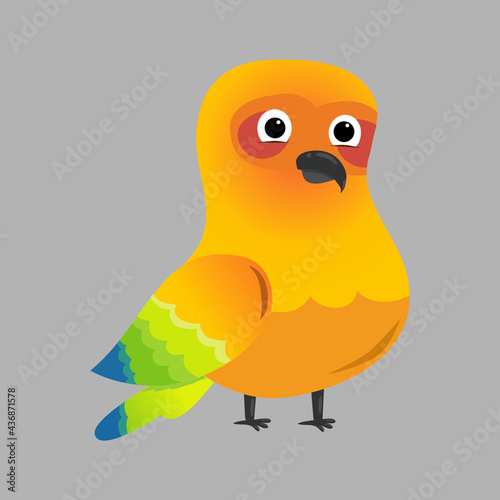 A sunconure parrot cute vector 