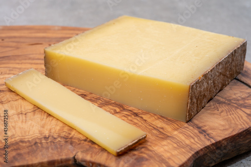 Cheese collection, French cheese comte made from cow milk in region Franche-Comte in France