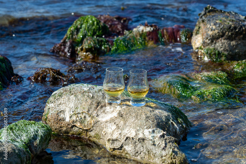 Tasting of single malt or blended Scotch whisky and blue sea with stones and oysters on background, private whisky tours in Scotland, UK