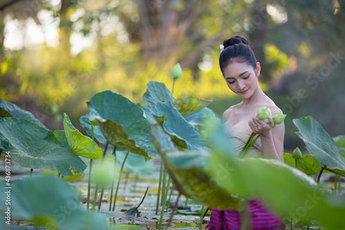 Asian woman harvest lotus flower in the garden,