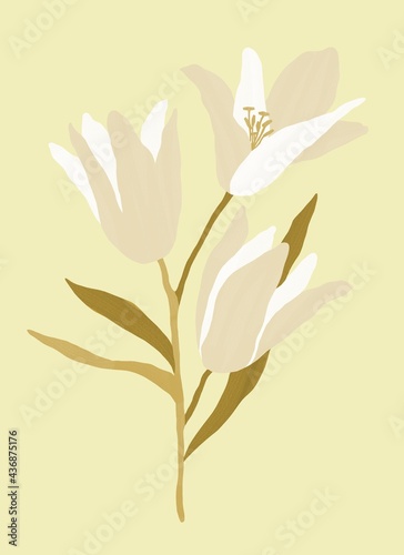 A bouquet of beige lilies with a stem and leaves. Botanical illustration. Isolated image on a beige background. Design for posters, postcards, textiles, fabrics, wallpaper, wedding design.

