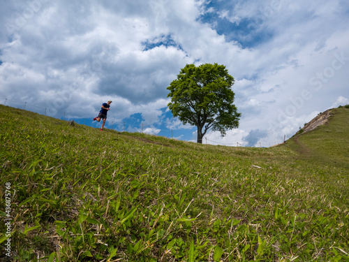 Mountain trail runner on grassy ridge with lone beech tree