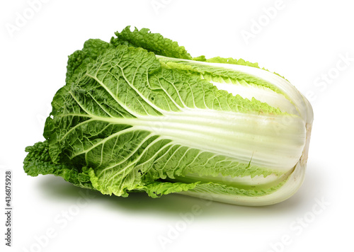 Chinese cabbage on white background 