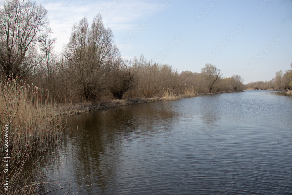 View of the river bank with blue sky View of the river bank with blue sky