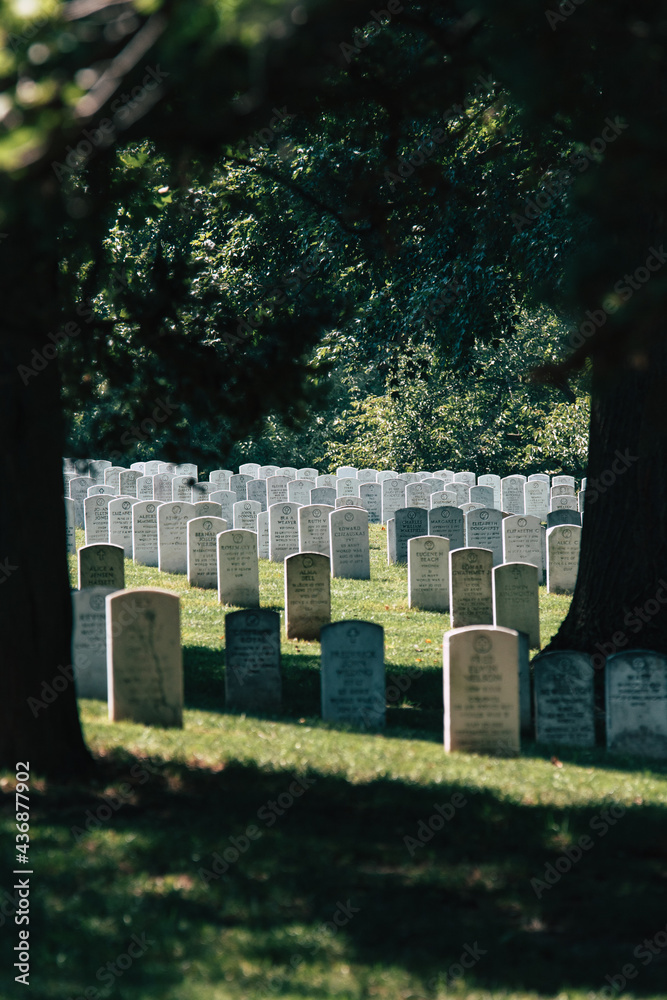 Naklejka premium cemetery arlington