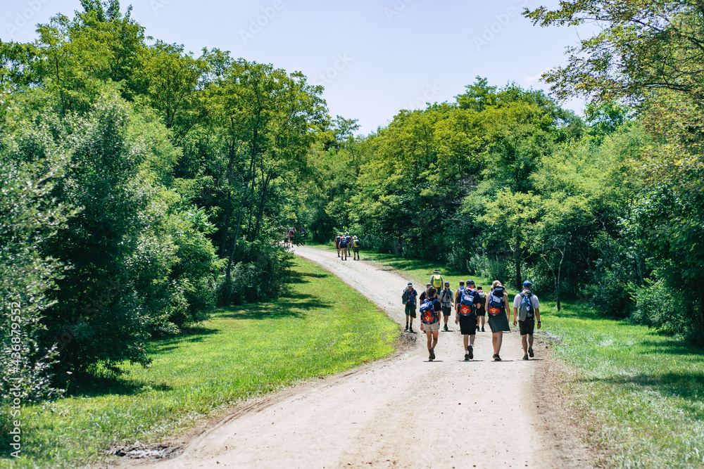 Fototapeta premium people walking in the forest