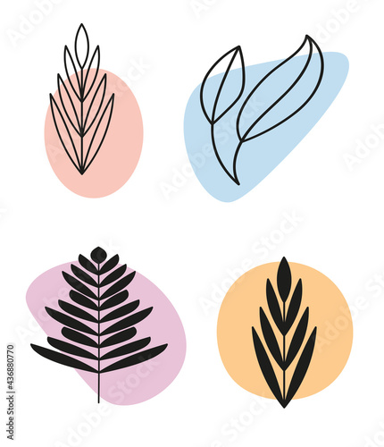 Set of abstract plants.Silhouette.Collection hand drawn, botanical and healing isolated plants.Herbs design template.Twigs and leaves with abstract colorful forms