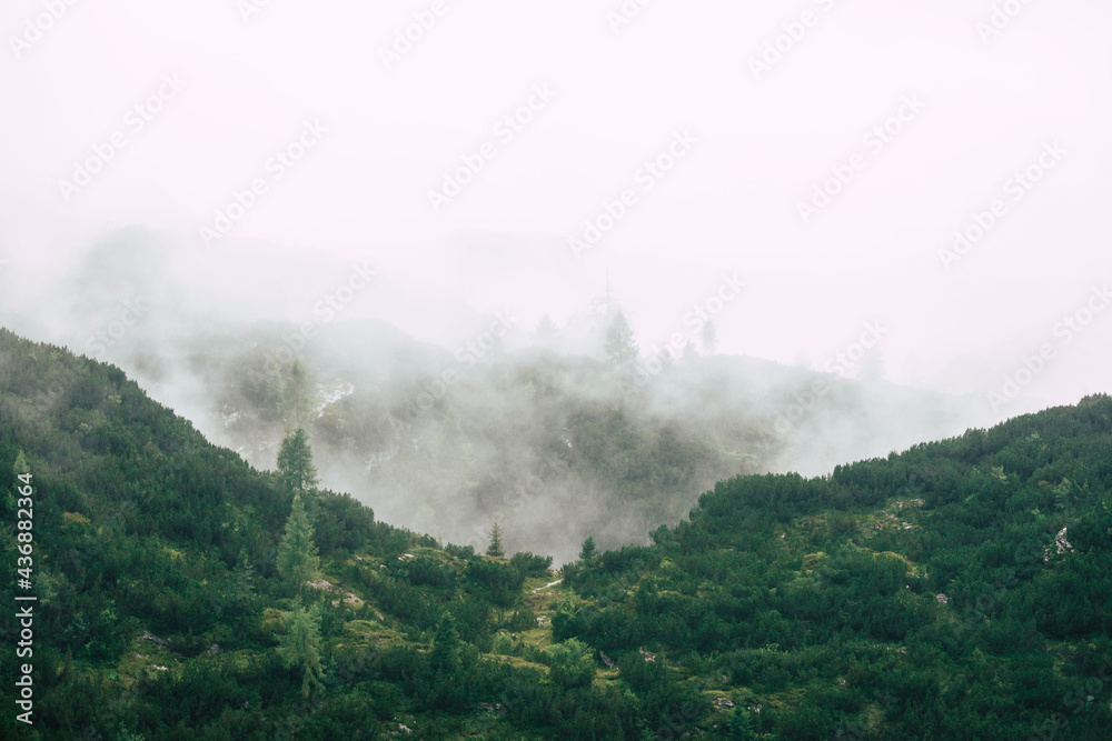 misty morning in the mountains
