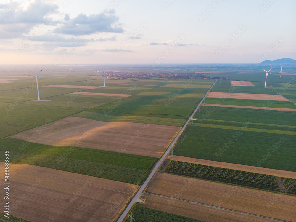 Fertile fields with windmills. The concept of clean electricity. Aerial photography. 