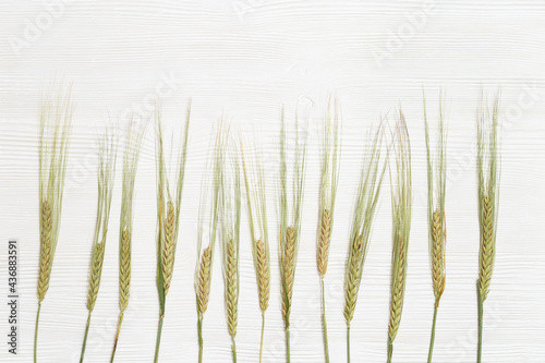 Ears of rye and grains on white wooden background. Autumn harvest of grain crops. Top view and copy space.