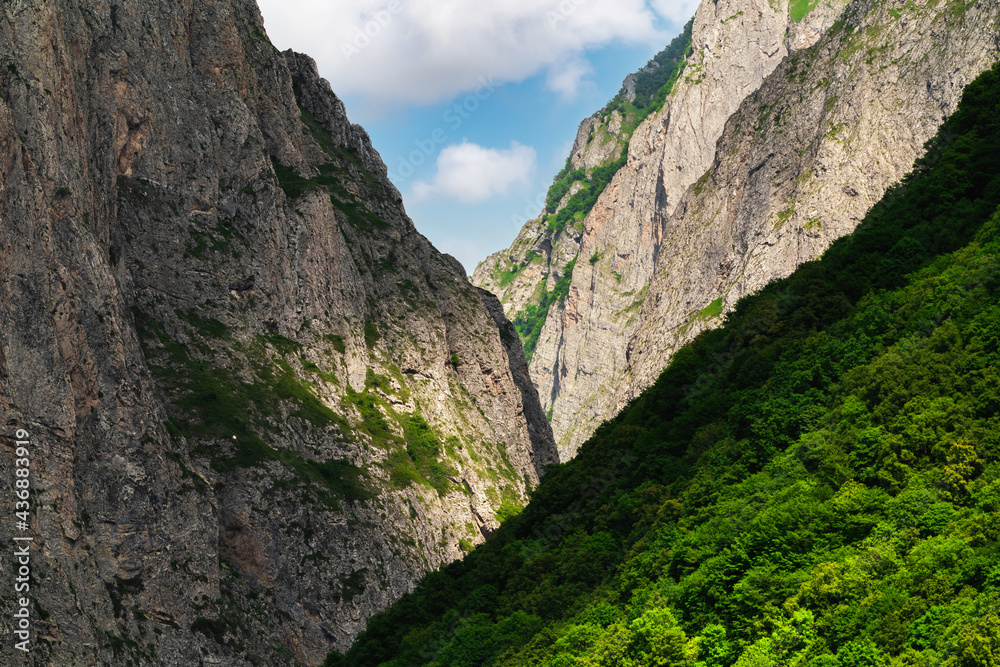 Mountain gorge with steep slopes overgrown with forest