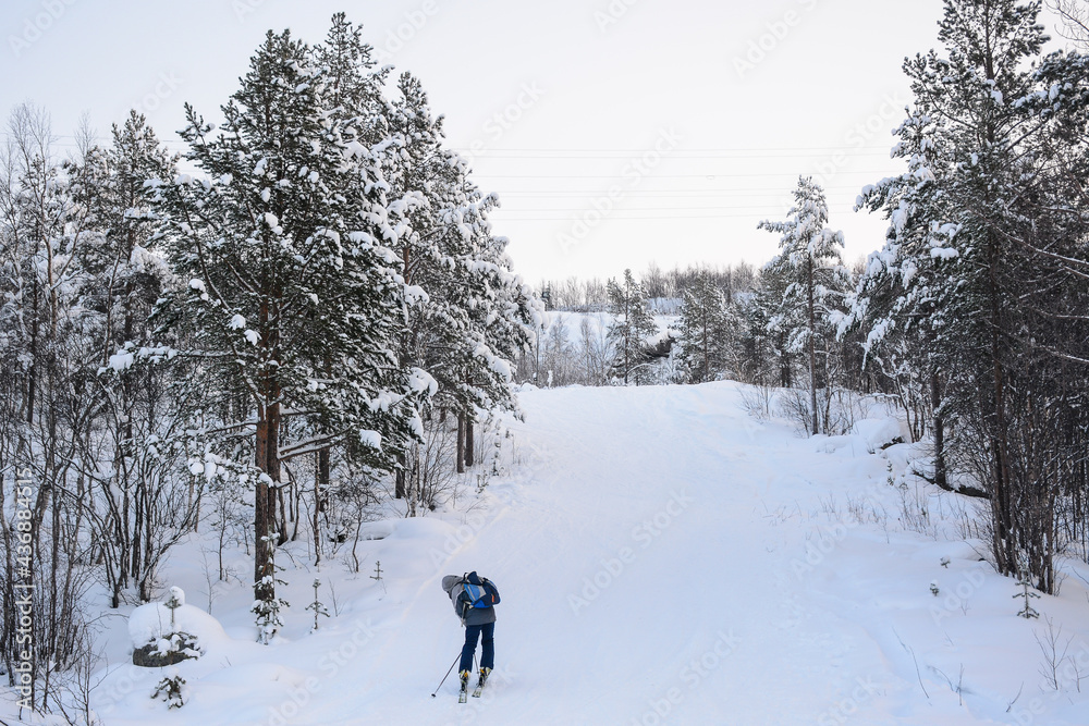 MURMANSK, RUSSIA - FEBRUARY 10, 2021: People are skiing and snowboarding in Nord Star ski complex located in Murmansk
