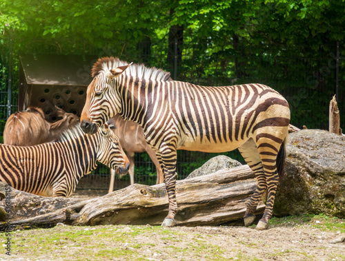 Zoobesuch