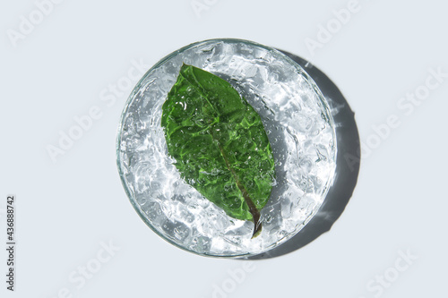 Transparent cosmetic gel in glass petri dish, green leaf on white background. Make-up and cosmetics texture background, skincare product