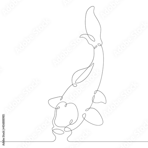 One continuous line.Floating fish profile logo.Silhouette contour carp.One continuous drawing line logo isolated minimal illustration.