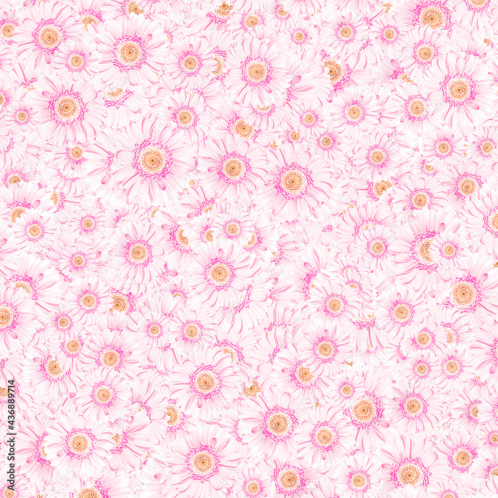 Beautiful Pink Flowers Pattern Background