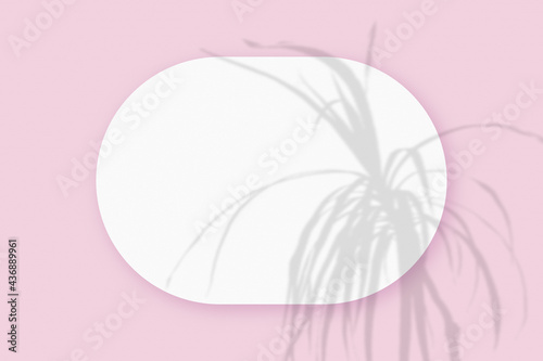 Mockup with plant shadows superimposed on an oval sheet of textured white paper on a pink table background. Horizontal orientation