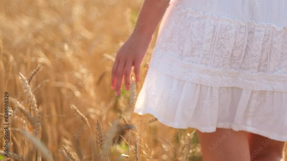 A young girl in a white dress happily walks in slow motion across a yellow field, touching the ears of wheat with her hands. A woman's hand goes through a wheat field.Beautiful carefree woman enjoying A young girl in a white dress happily walks in slow motion across a yellow field, touching the ears of wheat with her hands. A woman's hand goes through a wheat field.Beautiful carefree woman enjoying