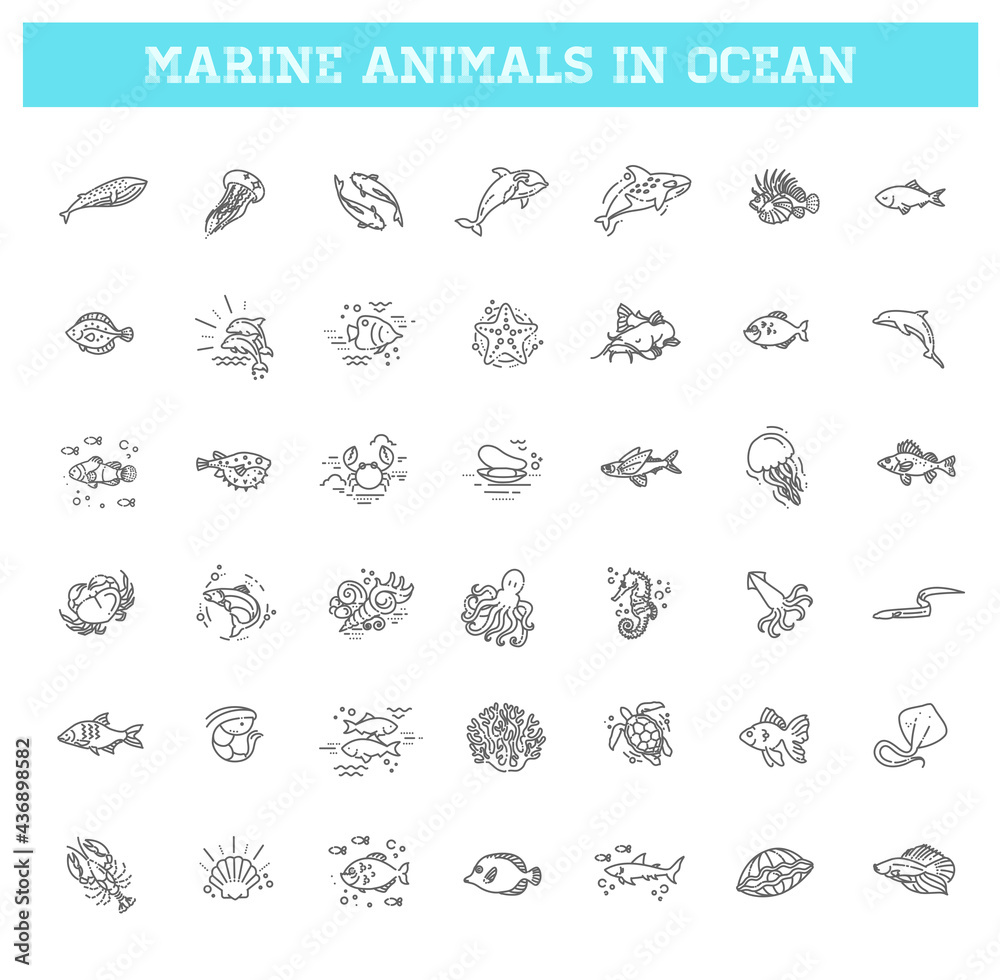 Fish and wild marine animals in ocean.