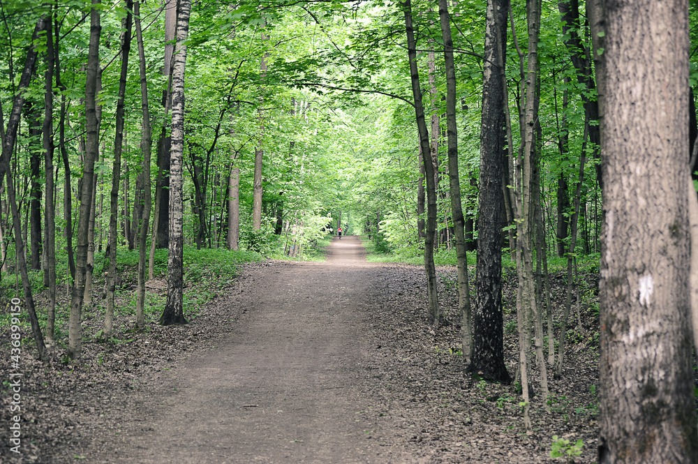 path in the park-Izmailovsky park in Moscow path in the park-Izmailovsky park in Moscow