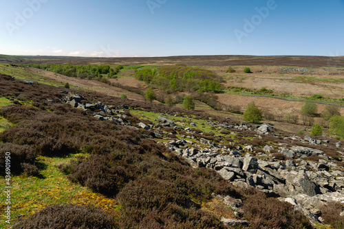 The North York Moors with fields, trees, and large boulders in spring. Goathland, UK. photo