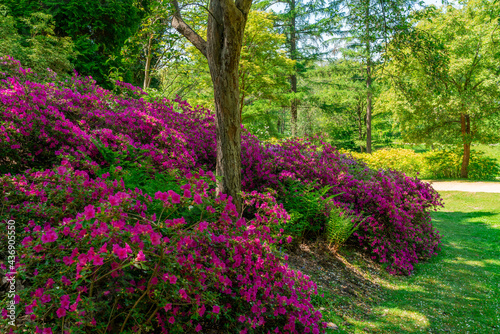 Virginia Water Park