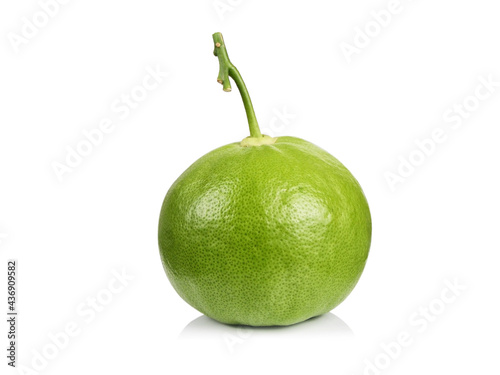 Green unripe tangerine isolated on white background

