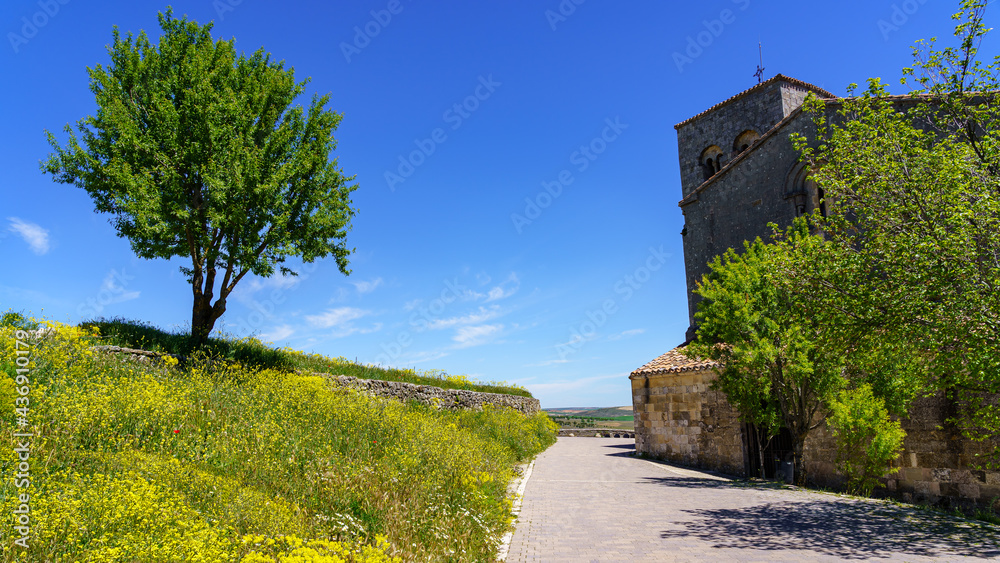 Landscape with tree and yellow flowers in old town and sunny day.