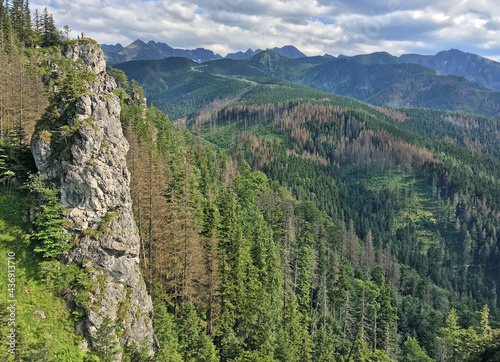 Mountain landscape with rocky cliff and spruces, sunny summer day. View from Mount Nosal, Tatra Mountains. Tatra National Park.