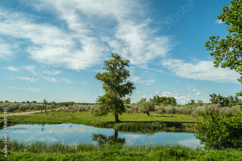 The view of the lake in which the sky is reflected, a tall tree stands in the middle, the road on the left.