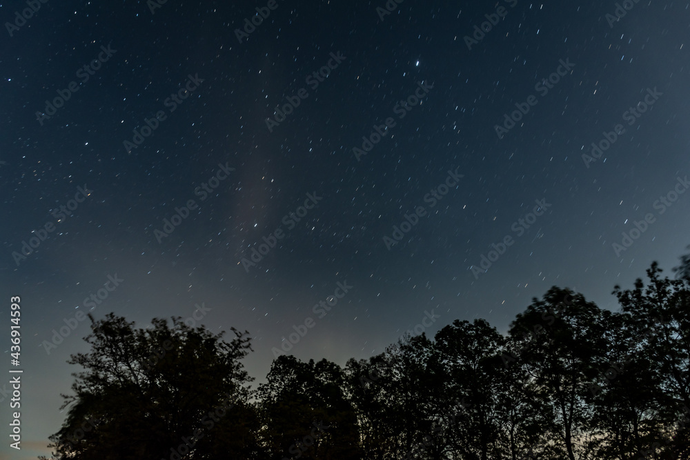 Naklejka premium starry night sky