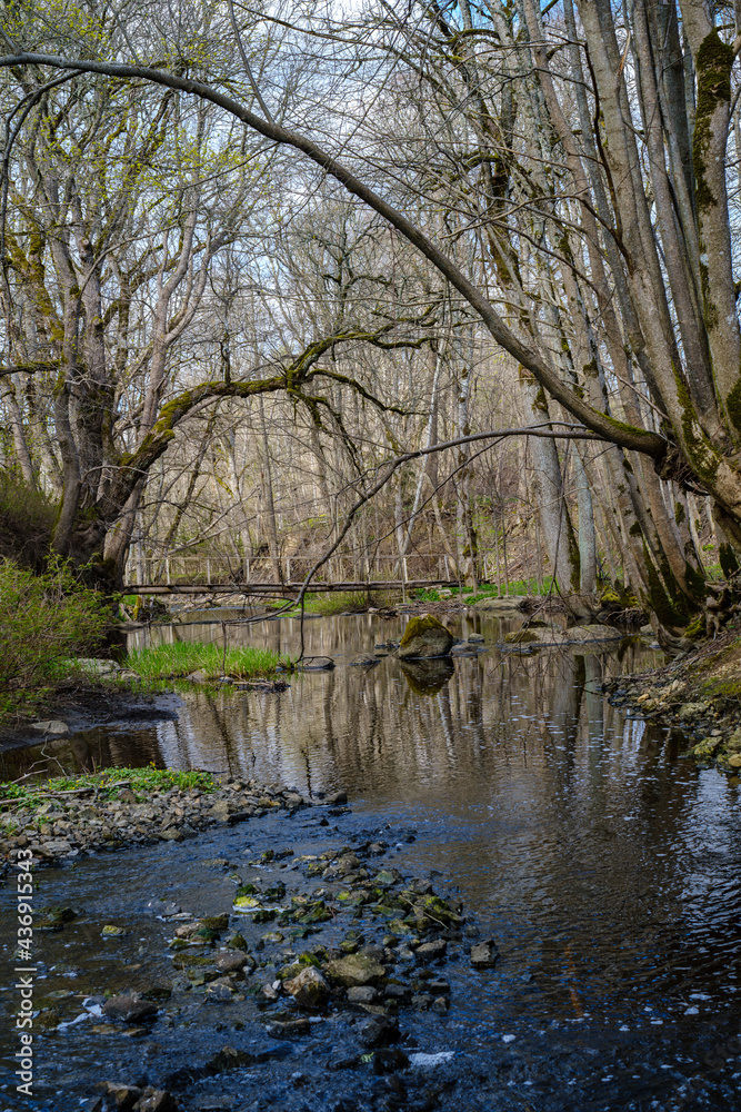 calm forest smal lriver with small waterfall from natural rocks