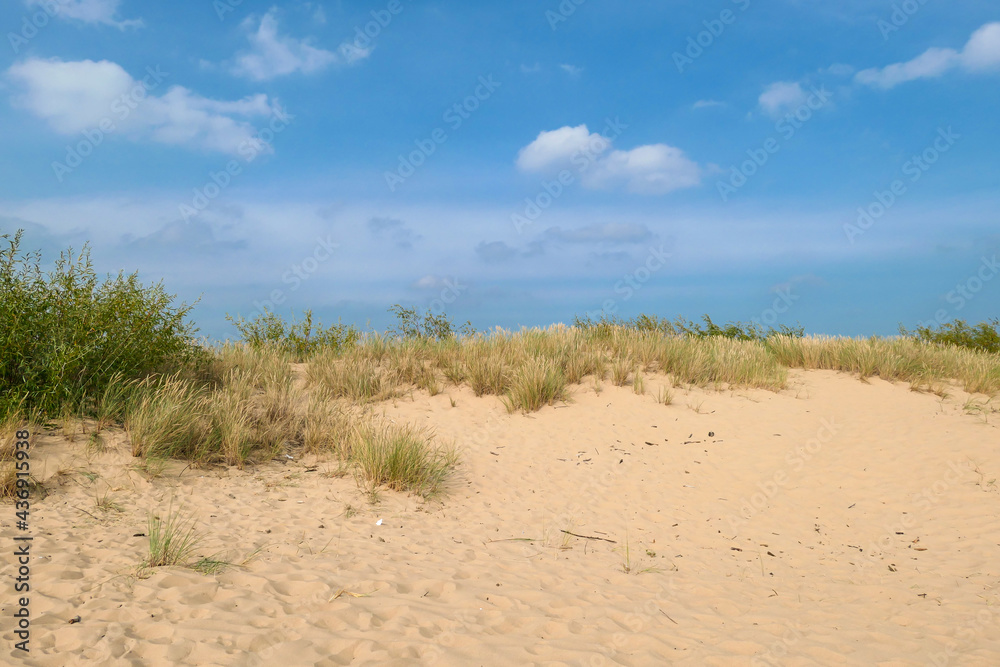 A panoramic view on the sandy beach by Baltic Sea on Sobieszewo island, Poland. The beach is scarcely overgrown with high grass. The sea is gently waving. A bit of overcast. Serenity and calmness