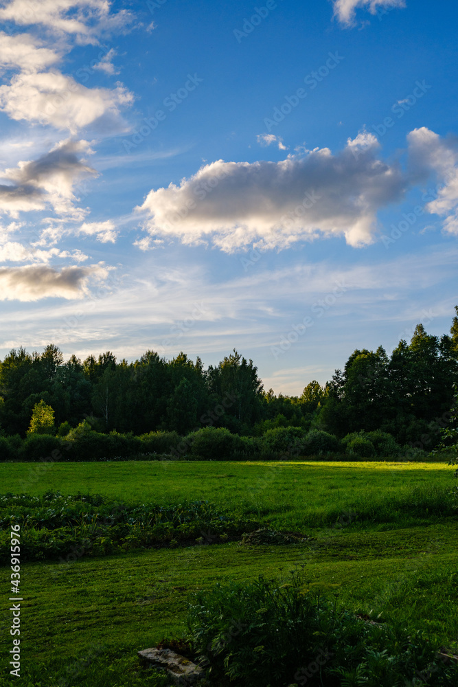 summer countryside fields and forests with blu sky above