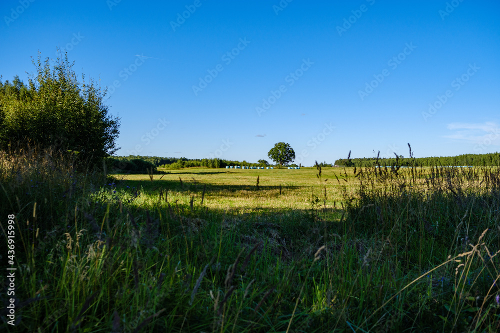 summer countryside fields and forests with blu sky above
