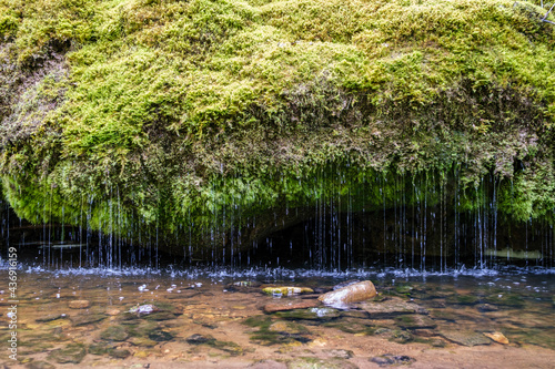 calm forest smal lriver with small waterfall from natural rocks photo