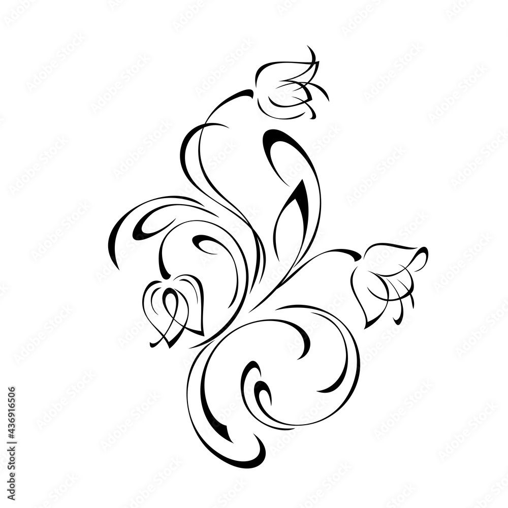 ornament 1794. decorative element with stylized flower buds on stems with curls in black lines on a white background ornament 1794. decorative element with stylized flower buds on stems with curls in black lines on a white background