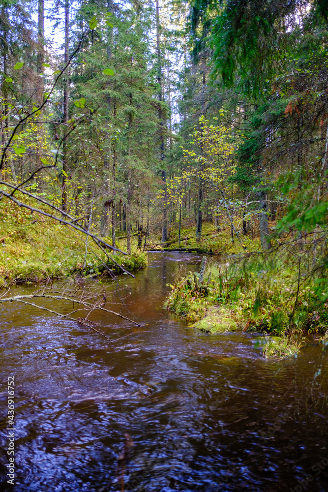 calm forest smal lriver with small waterfall from natural rocks calm forest smal lriver with small waterfall from natural rocks
