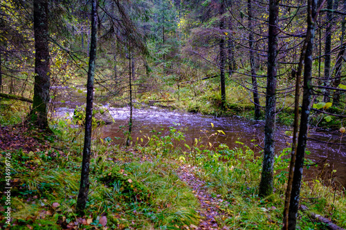 calm forest smal lriver with small waterfall from natural rocks