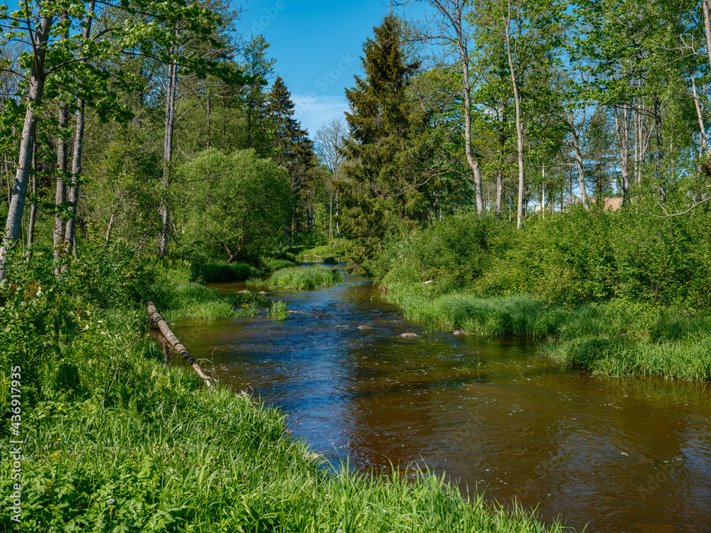 calm forest smal lriver with small waterfall from natural rocks calm forest smal lriver with small waterfall from natural rocks