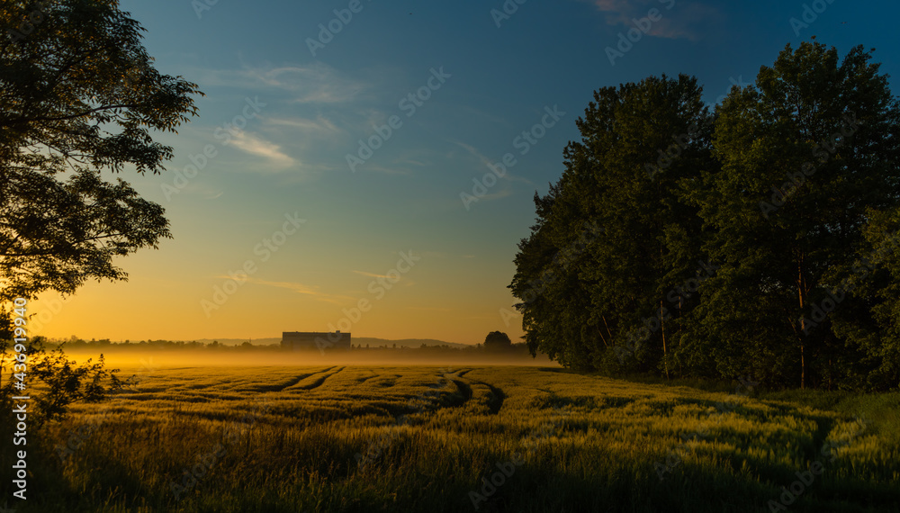 Fields near Budweis city with sunrise and color fresh fields