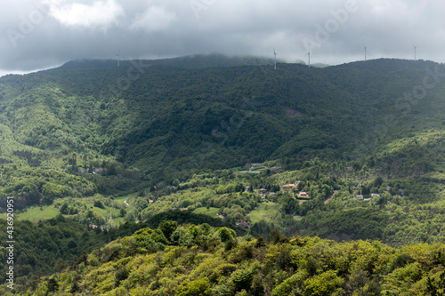 Foresta Deiva - Forte Lodrino (Giovo Ligure), Savona. photo