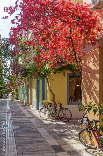Fototapeta Naklejka Na Ścianę i Meble -  Scenic view of cobbled street, facades of shops and a full blooming bougainvillea in the  old town of Nafplio Argolis Greece.
