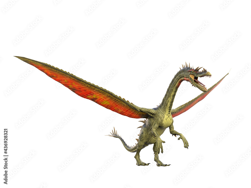 Fototapeta premium snouted dragon is standing up