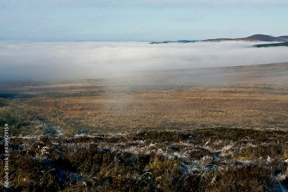 Dense fog raising above mountain slope