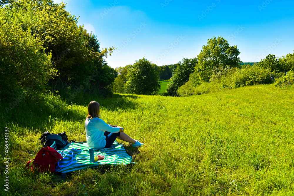 Fototapeta premium Picknick am Aschberg in Schleswig Holstein