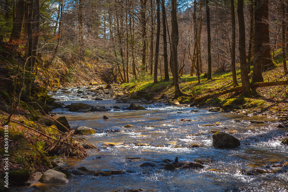 Beautiful river in spring forest, Bieszczady mountains, Poland